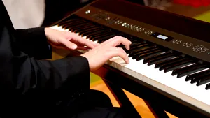 Sabina vrea să fie profesor de pian, dar se fereşte de sistemul privat. Ce motive are? 