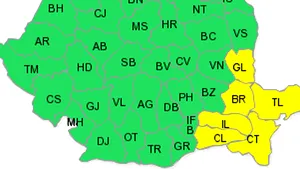 Cod galben de ninsori şi vânt puternic pentru Dobrogea şi sudul Moldovei