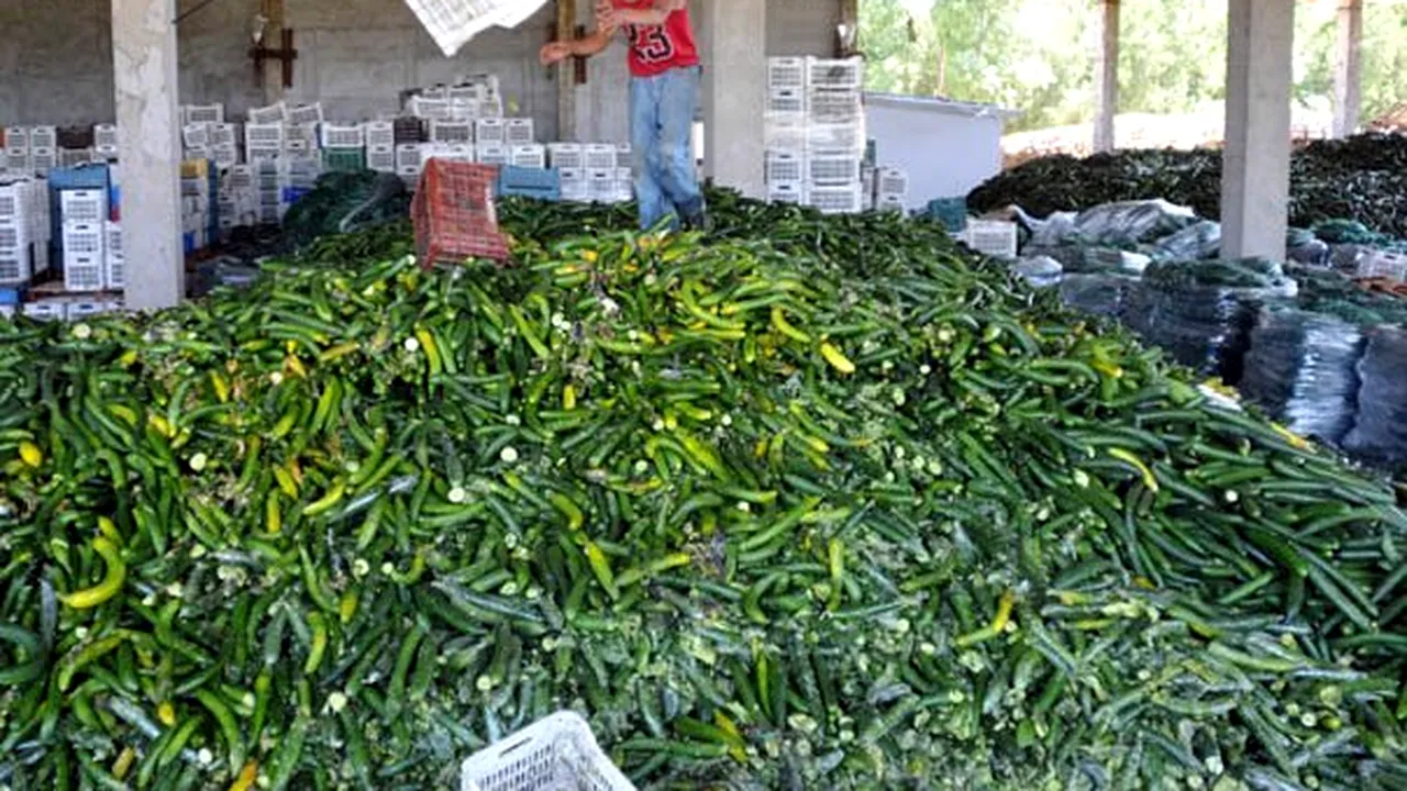 Cultivatorii români de castraveţi şi tomate au solicitat CE despăgubiri de 1,46 milioane euro
