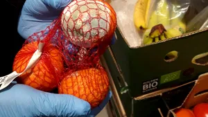 Sancţiuni usturătoare pentru două magazine din Cluj: Vindeau produse din carne expirate de 45 de zile şi legume cu mucegai