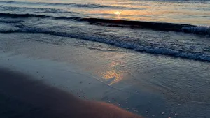 Suma alocată pentru modernizarea bulevardelor care leagă Constanţa de Mamaia