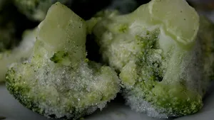 (P) Ghid – ce să iei în considerare când cumperi o ladă frigorifică