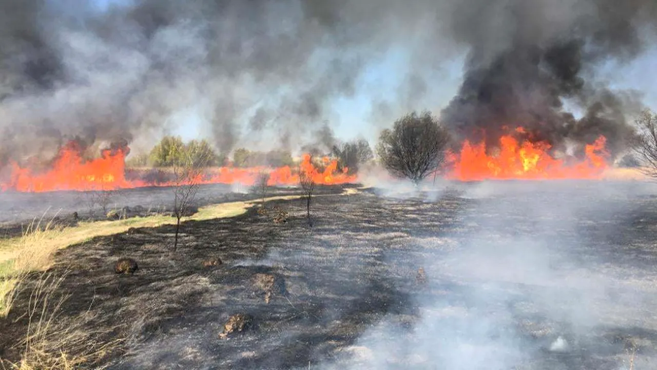 Incendiul din Delta Văcăreşti a fost stins după mai bine de două ore