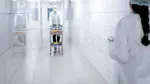 Caz de ciumă înregistrat în Rusia. Cine este persoana infectată și cum s-a îmbolnăvit