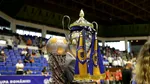 Futsal: FK Odorheiu Secuiesc a cucerit Cupa României