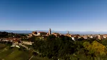 Cinci sate din Italia unde turiștii pot descoperi magia recoltei de struguri. Destinații spectaculoase de toamnă