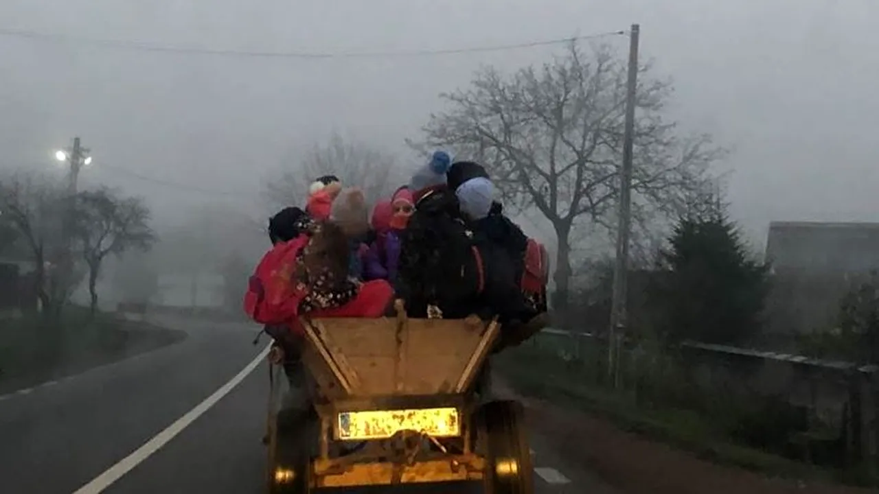 Copii duşi la şcoală, înghesuiţi într-o căruţă nesemnalizată. Inspectoratul şcolar dă vina pe părinţi
