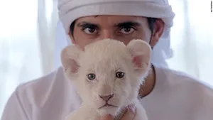 Gheparzii, tigrii şi leii au fost interzişi ca animale de companie în Emiratele Arabe Unite