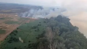 Incendii de vegetație de amploare în mai multe părți ale țării, zeci de hectare afectate