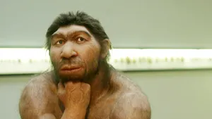 Omul de Neanderthal, eliminat de Homo Sapiens, nu de modificarea climei