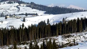 Elevii blocaţi pe Platoul Bucegi, în siguranţă spre casele lor