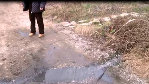 VIDEO | O livadă de nuci a fost distrusă de dejecţiile dintr-o conductă. Primar: Ce vrei să fac eu?