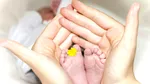 Descoperire: Lipidele din pielea bebelușilor pot prezice riscul de dezvoltare a eczemei