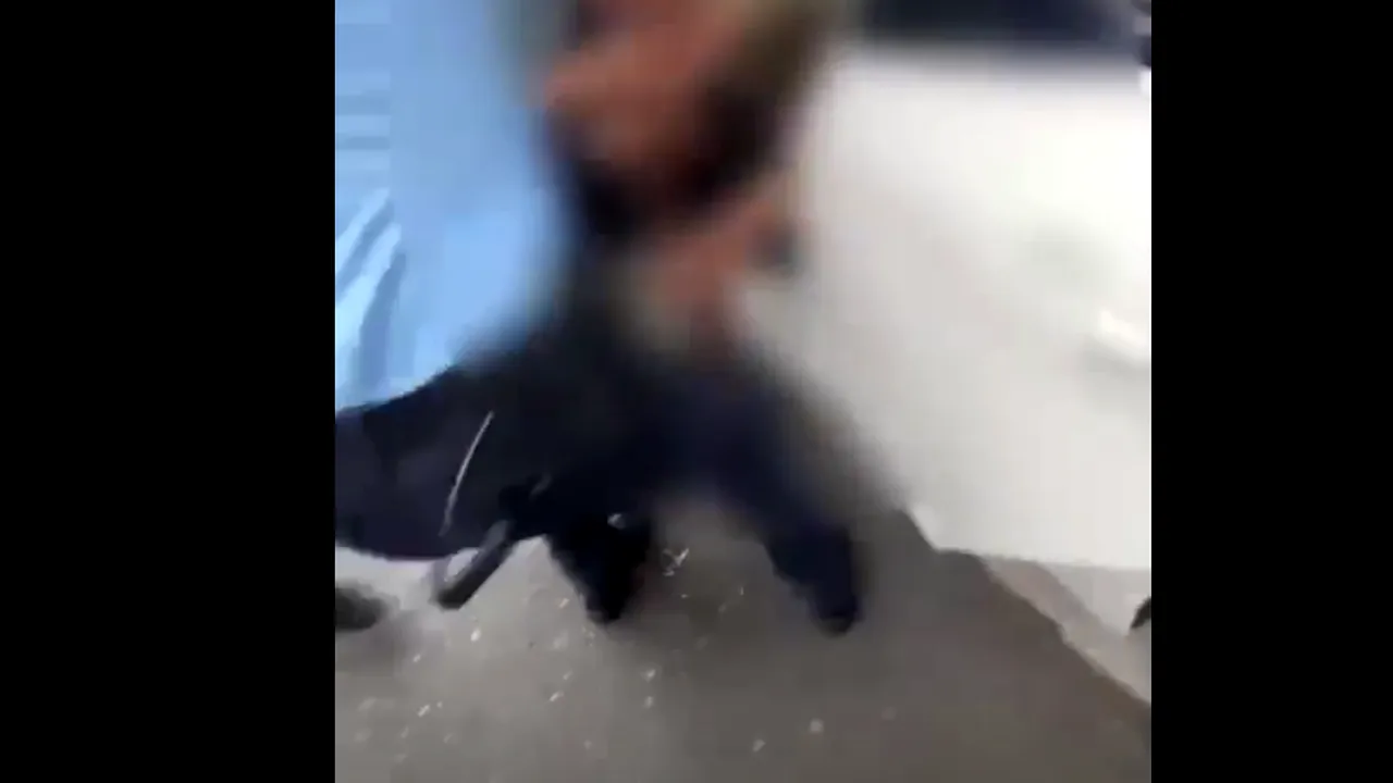 Şofer care furat o maşină dintr-un mall, oprit de poliţişti cu focuri de armă pe DN1
