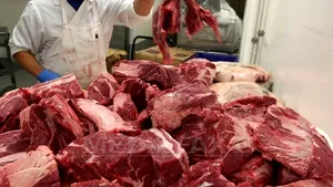 Fraudă de milioane de euro în Germania, în cazul angajării a 1.000 de măcelari, majoritatea români