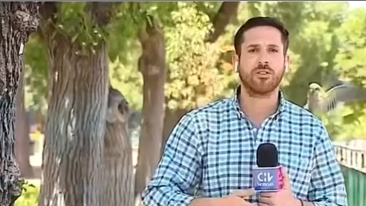 VIDEO Cum a fost furat un reporter care transmitea în direct despre jafuri 