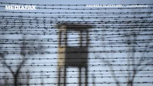 COMENTARIU Lelia Munteanu.  „Şi mi-a făcut semn ca să tac...