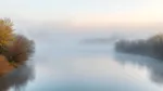 Cod galben de ceață pe litoral și în Delta Dunării