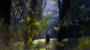 Amenajarea spaţiilor verzi din Bucureşti s-ar putea face pe baza unui regulament. Oficialii Primăriei spun că aşa s-ar stopa risipa banilor publici