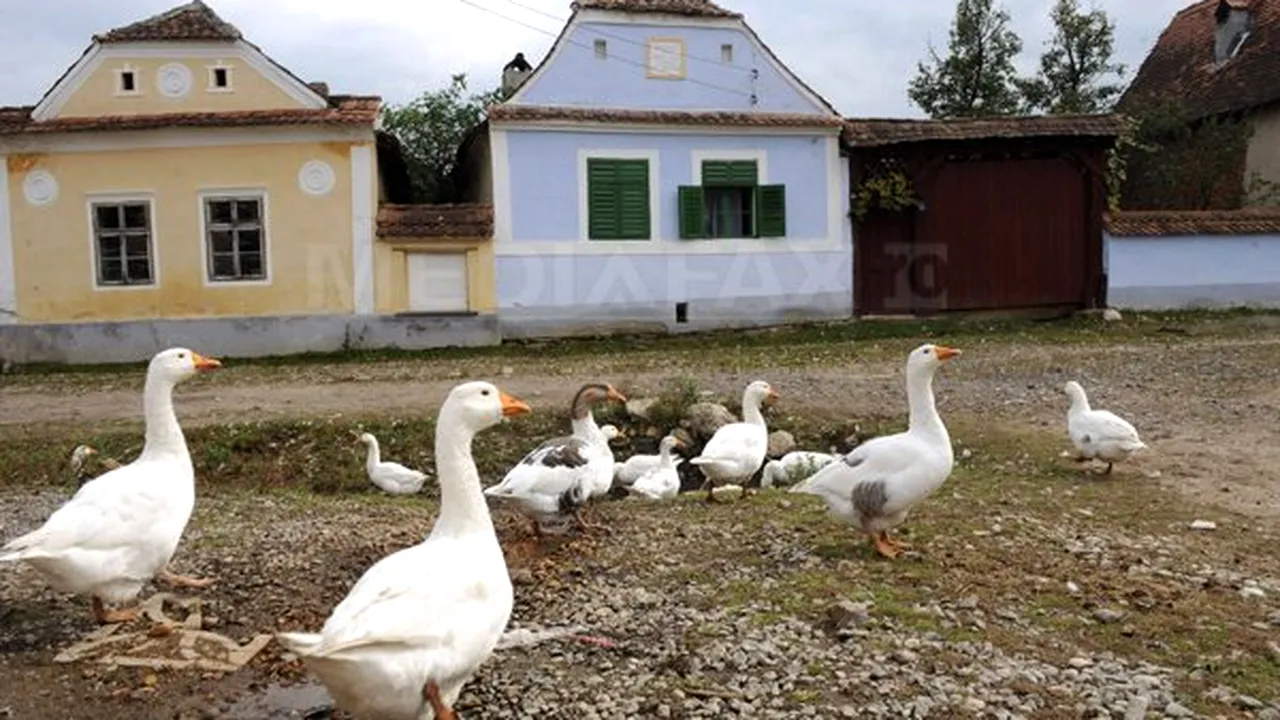 Circa 60 de localnici din Rafaila, judeţul Vaslui, au blocat accesul în Primărie