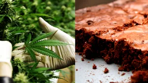 Elevi internaţi în spital cu HALUCINAŢII, după ce o colegă a venit la şcoală cu prăjituri pline cu marijuana. Fata credea că o să fie „distractiv” să-şi vadă colegii drogaţi