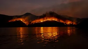 Un studiu leagă poluarea cu particule din fumul incendiilor forestiere de 24.100 de decese pe an