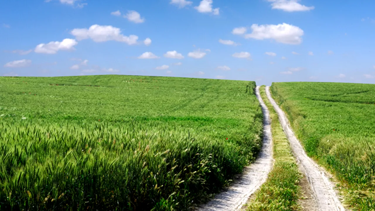 Ialomiţianu: Impozitarea terenurilor agricole nelucrate să fie aplicată cât mai repede