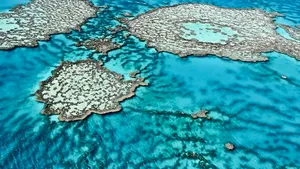 Un recif imens a fost descoperit sub Marea Barieră de Corali