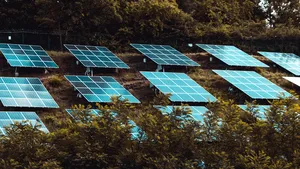 (P) Panouri fotovoltaice de generaţie nouă: care sunt şi ce beneficii aduc