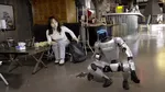 Primul robot umanoid cu adevărat util: Cine va câștiga această cursă?