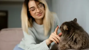Dacă mângâi mereu pisicile, psihologii spun că ai aceste trăsături de personalitate