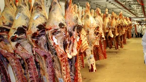 Carne de porc din Irlanda a ajuns în depozitele unei firme din Bucureşti