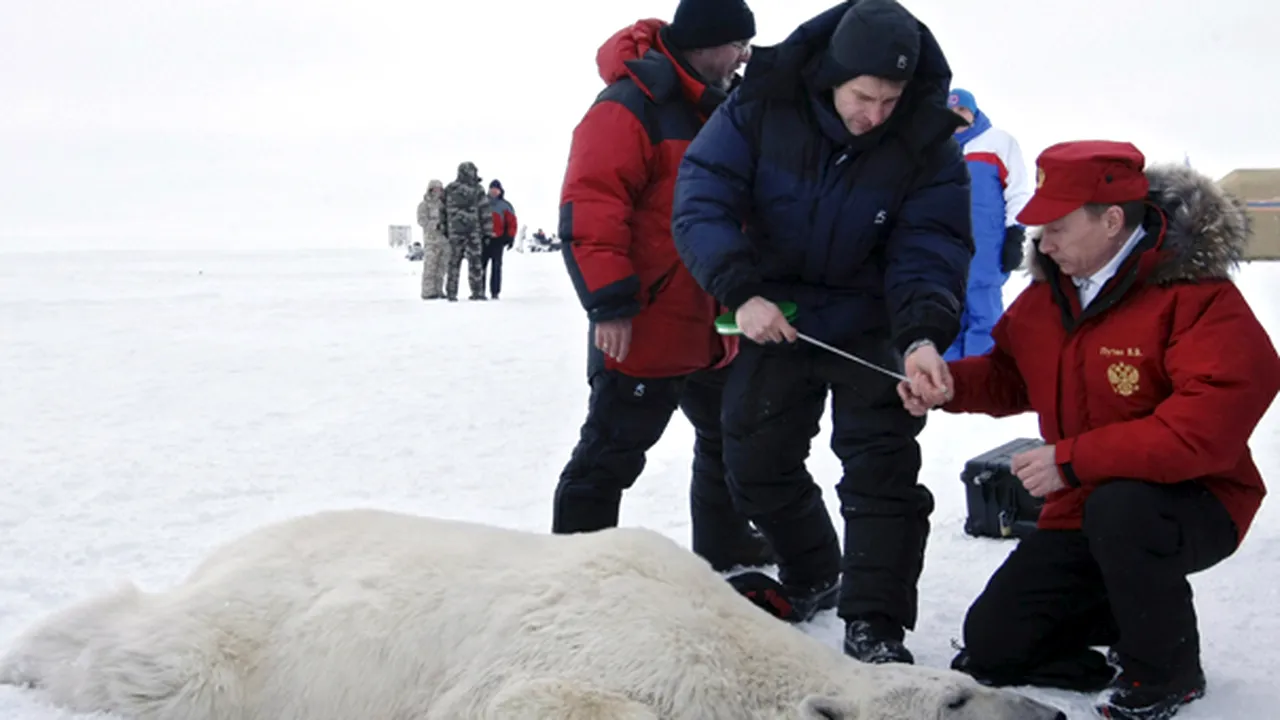 Putin a mângâiat un urs polar: Laba este grea. Se vede că este stăpânul Arcticii - FOTO