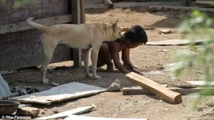 Un bărbat din China şi-a ţinut nepotul legat în lanţuri timp de doi ani - FOTO