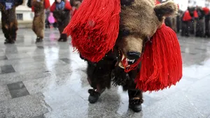 MEDIAFAX ZOOM - Tradiţii româneşti: Jocul Urşilor - GALERIE FOTO