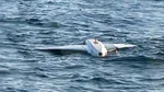 Două drone UAV, distruse controlat în Marea Neagră. Au fost găsite în zona Neptun Deep