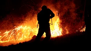 Incendii de vegetație în șase județe. Peste 500 de hectare sunt afectate