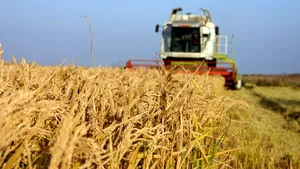 Eurostat: România este al şaselea producător de cereale din Uniunea Europeană, în 2016