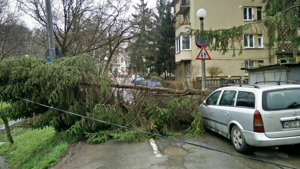 Cod GALBEN de vânt puternic. Mii de gospodării fără curent, fire electrice rupte şi copaci căzuţi pe maşini în Mureş/ Parcuri ÎNCHISE în Craiova