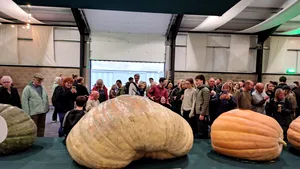 Știința din spatele cultivării unui dovleac gigant. Acesta cântărește aproape cât o mașină mică