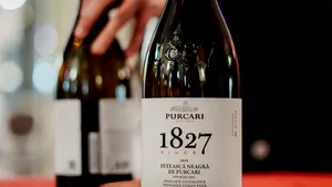 Bursă. BRK Financial Group menţine recomandarea de cumpărare pentru acţiunile Purcari