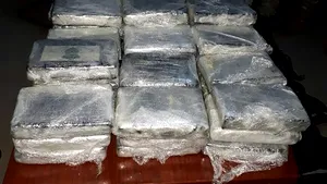 13 tone de cocaină ascunse într-un container cu banane, găsite de poliţiştii spanioli