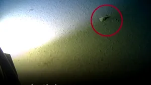 Cea mai adâncă expediţie marină din istorie: Descoperirea surprinzătoare făcută pe fundul oceanului | VIDEO