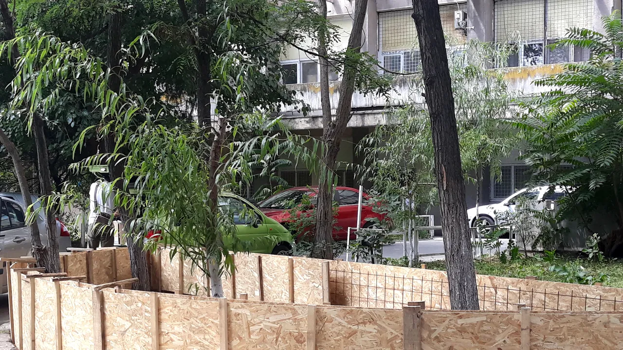 Şeful Spitalului Craiova a început să amenajeze în curtea unităţii un bazin cu peşti. Consiliul Judeţean l-a oprit | FOTO