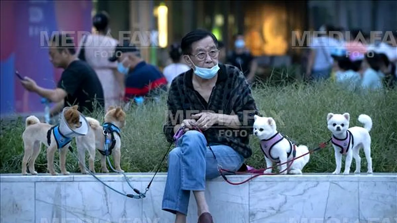 Problema demografică a Chinei. Numărul animalelor de companie din mediul urban depăşeşte numărul copiilor sub 4 ani 