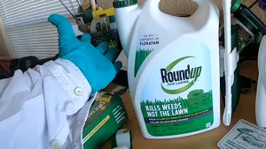 Suma URIAŞĂ primită drept despăgubire de un cuplu, după ce un erbicid le-ar fi cauzat cancer