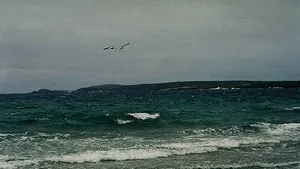Comandant român de navă, dispărut în Oceanul Atlantic