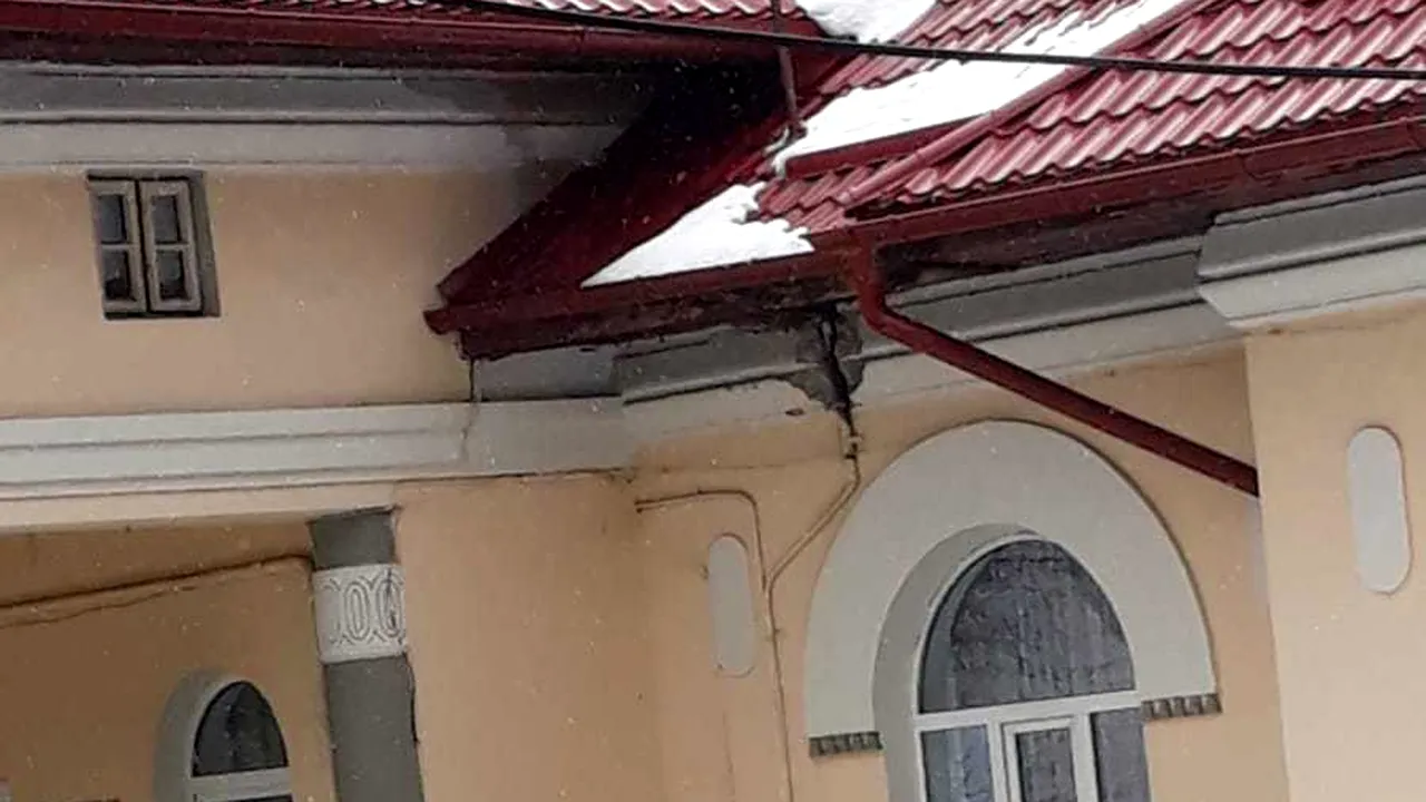 Un cerb fugărit de mai mulţi câini şi de un urs s-a adăpostit în curtea unui spital din Prahova | FOTO