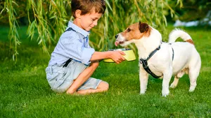Canicula vine la pachet cu noi interdicţii într-un judeţ din ţară. Oamenii nu au voie să îşi plimbe animalele de companie într-un interval de 8 ore