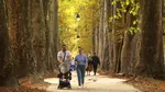 Studiu: O plimbare de o oră pe zi ar putea adăuga şase ore la speranţa de viaţă